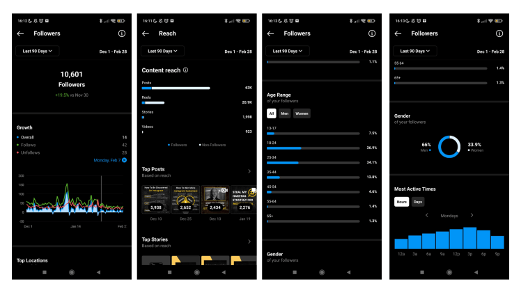 Example of Instagram insights