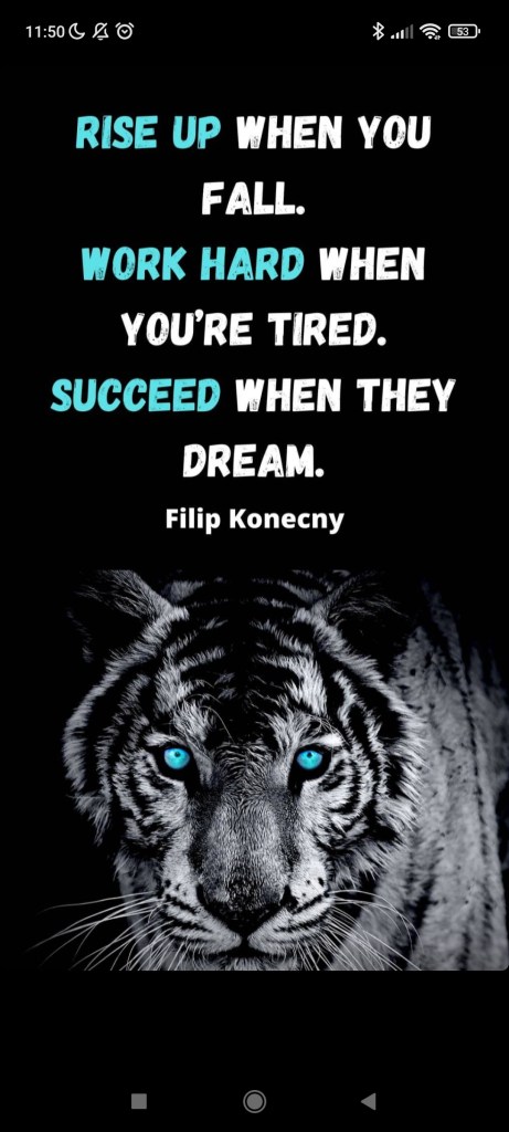 Example of sharing a quote in Instagram stories from Filip Konecny