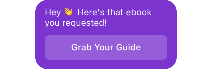 ManyChat-style automated DM delivering a guide
