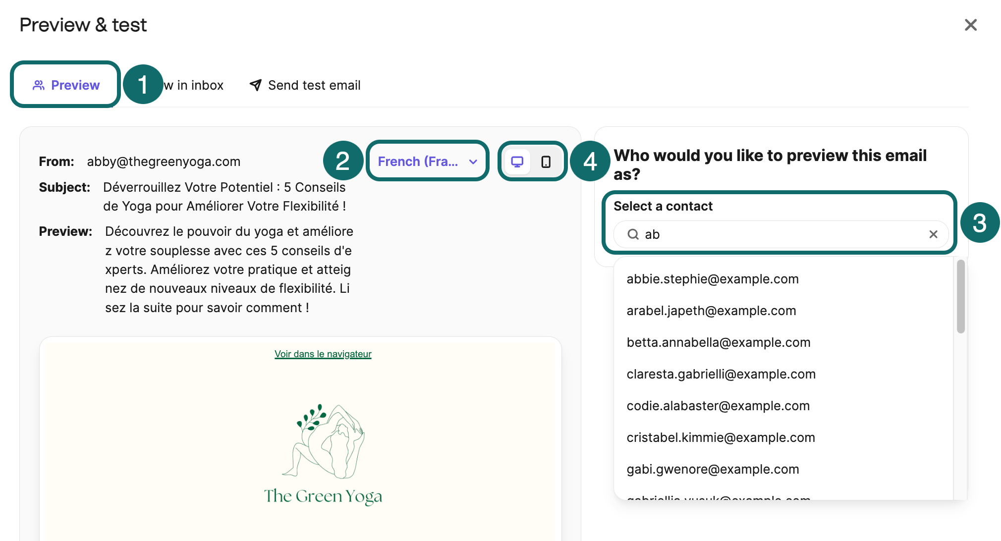 Brevo preview as customer view inside the email testing screen